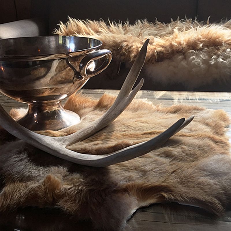 Dekorhorn