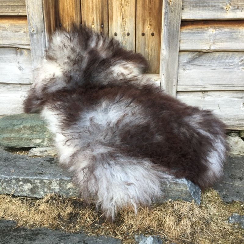 Saueskinn av spelsau, langhåret